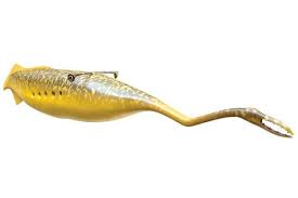 3120