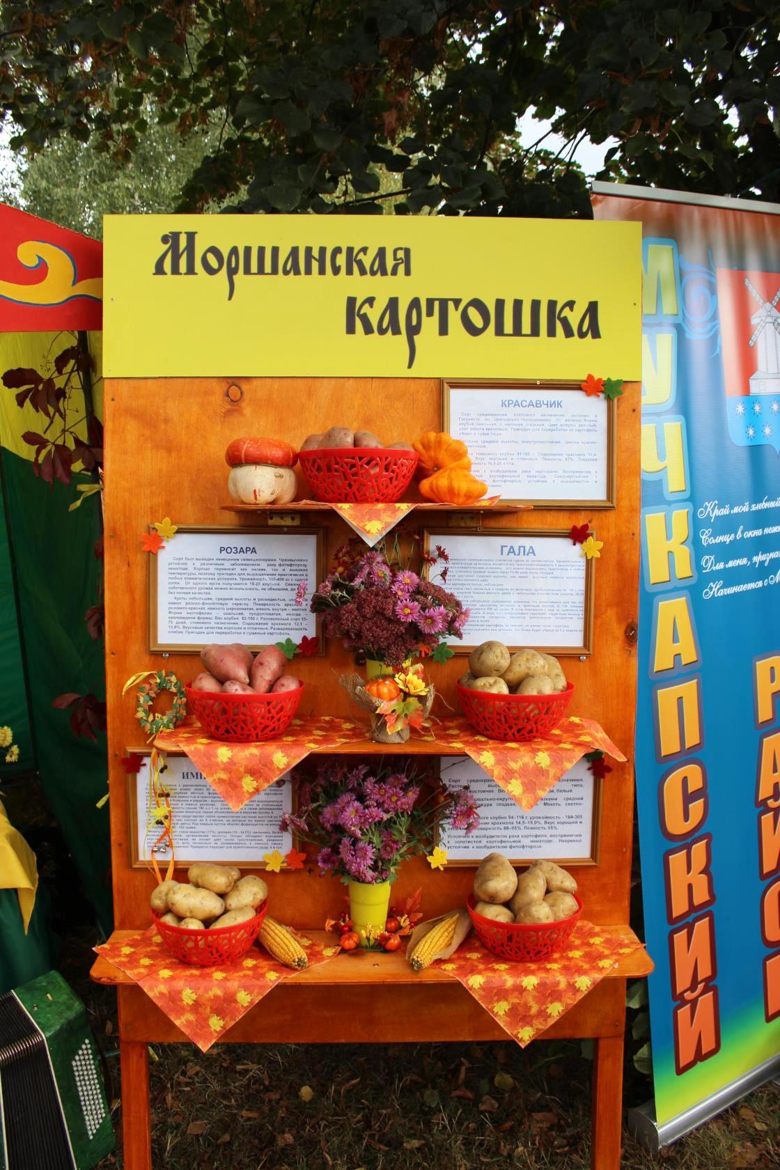  Юбилейная V Международная Покровская ярмарка в г. Тамбове  - фото 33