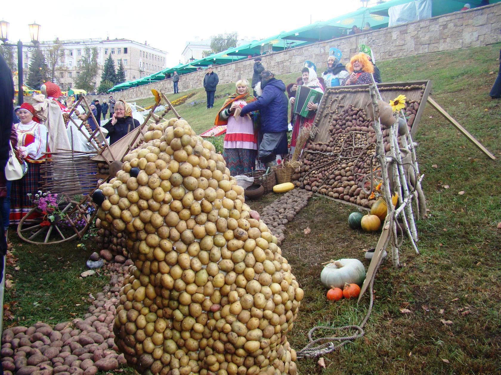  «Фестиваль Тамбовской картошки» на Покровской ярмарке 2015 - фото 18