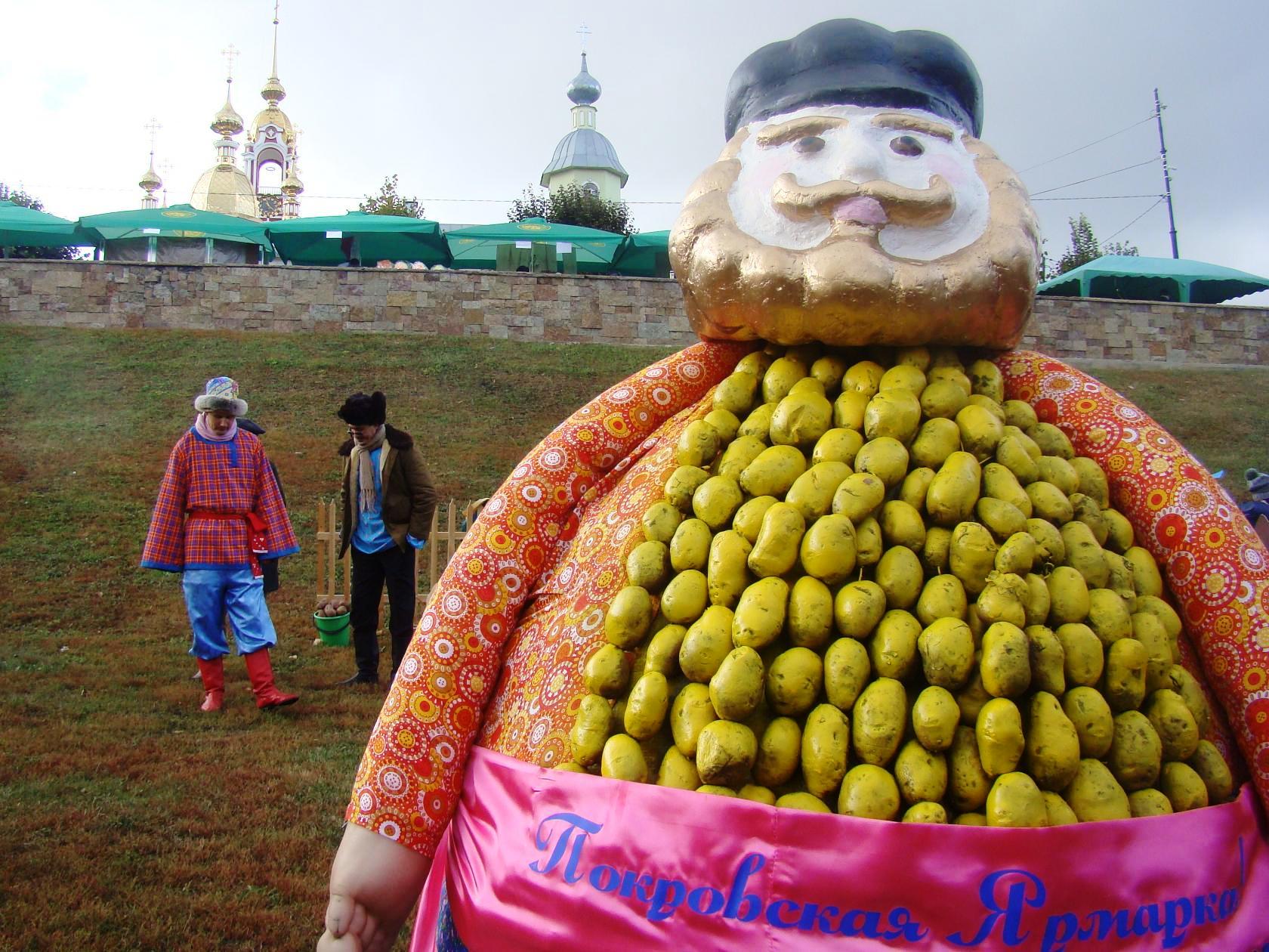 Сегодня день картошки. Праздник картошки. Тамбовская картошка. Тамбовский картофель. Картофельный фестиваль.