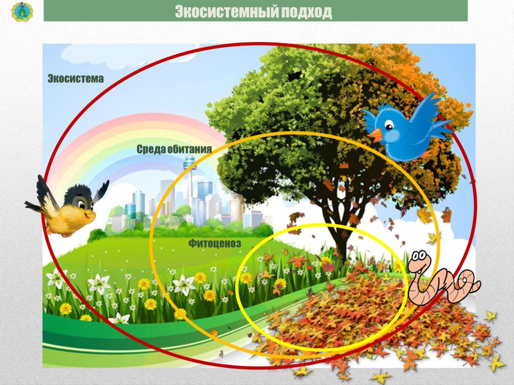  Доклад А.О. Кульбачевского на 5 научно-практической конференции по экологическим проблемам Москвы - фото 14