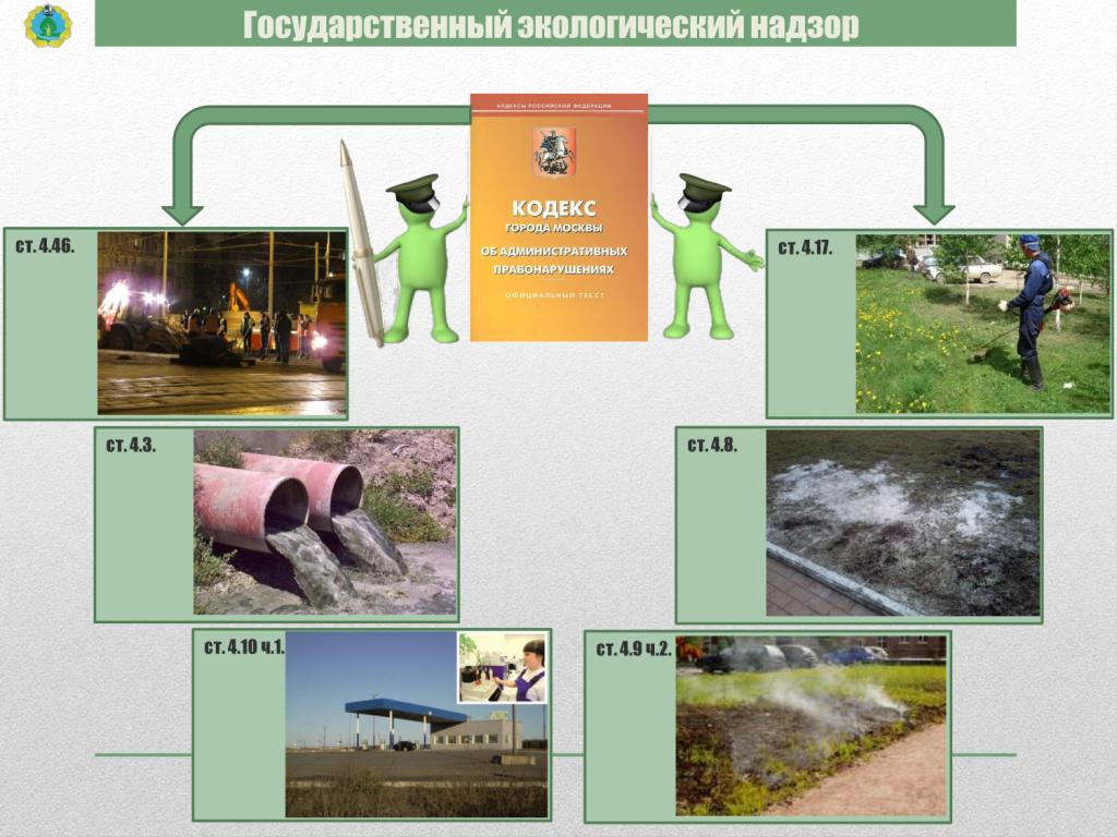  Доклад А.О. Кульбачевского на 5 научно-практической конференции по экологическим проблемам Москвы - фото 5