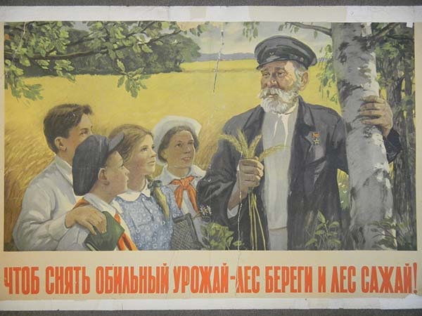 Не рубить с плеча... - фото 3