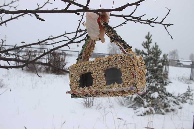  Покормите птиц! Природоохранная акция Керженского заповедника - фото 7