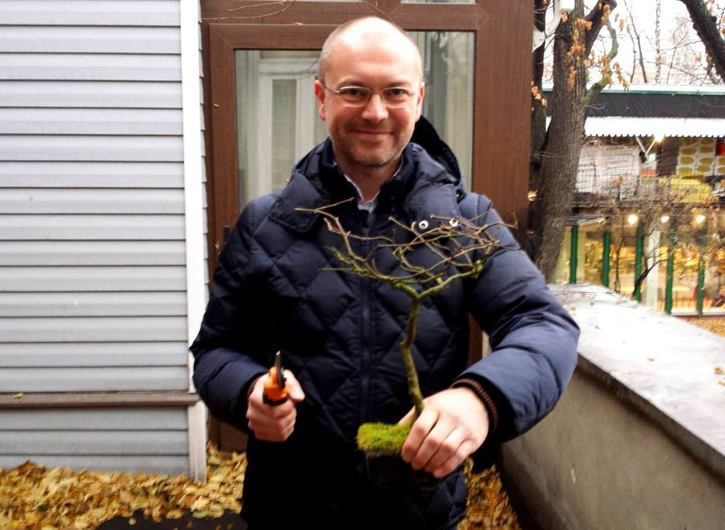 parshinbonsai