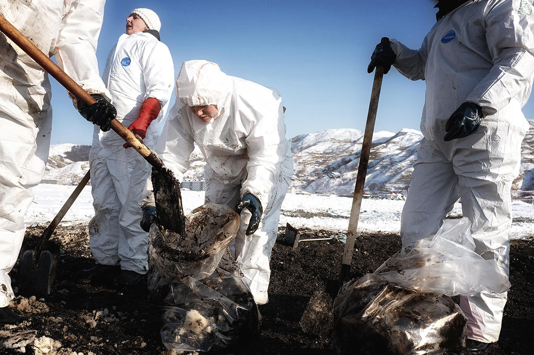  Волонтеры спасают побережье Невельска от нефтепродуктов - фото 4