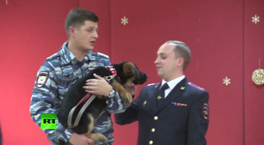  Российские полицейские передали щенка Добрыню французским коллегам - фото 1