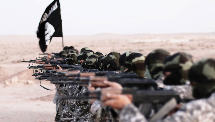  Германия не будет сотрудничать с Россией против ИГИЛ - фото 1