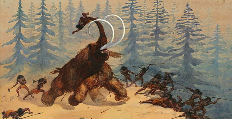  Мамонт Женя помог ученым «отодвинуть» покорение людьми Арктики в глубь веков - фото 1