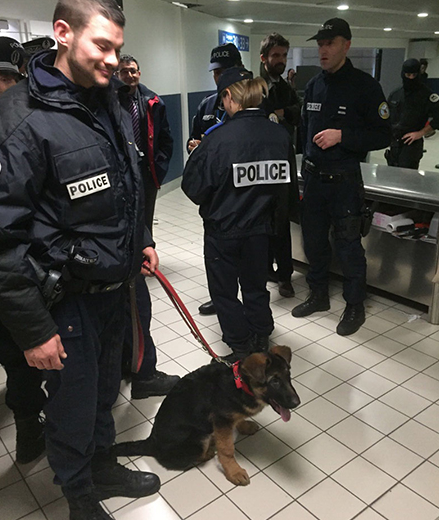  Щенок Добрыня заступил на службу в полицию Франции - фото 2
