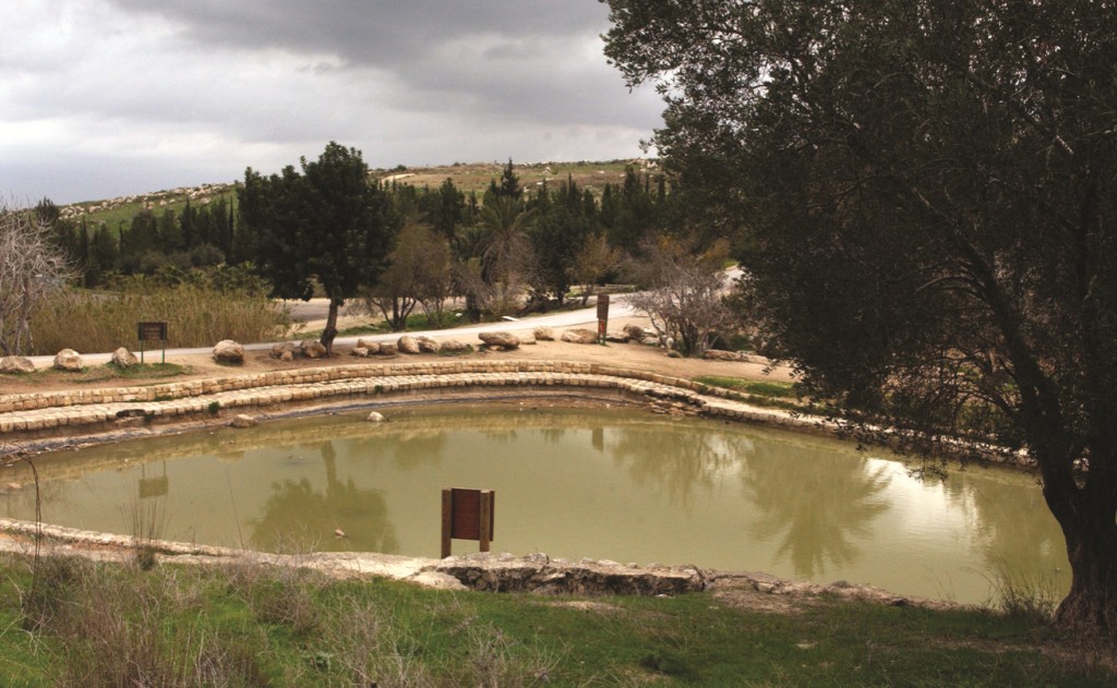 park ayalon2
