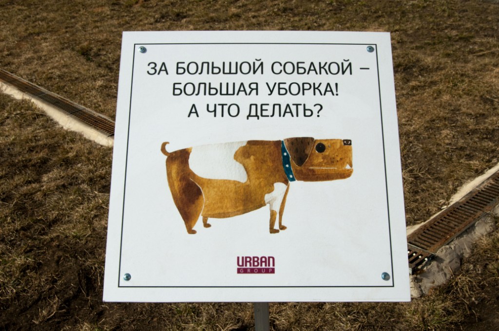  Мы не одобряем, когда собачка дворик удобряет! - фото 5