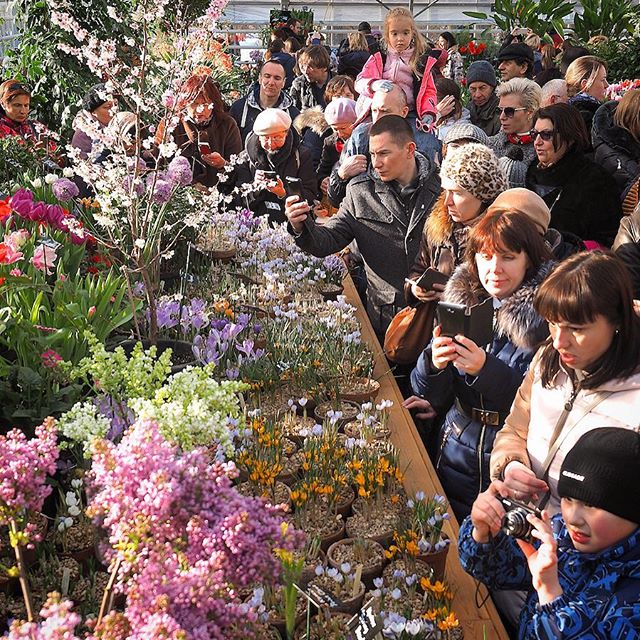  За первые 2 дня работы выставку "Репетиция весны" в "Аптекарском огороде" посетили более 8400 человек - фото 5