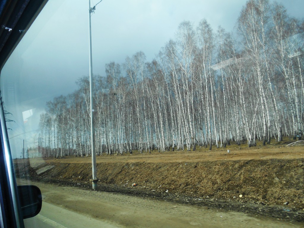  Соответствуют ли масштабы вырубок по Байкальскому тракту нормативам строительства дороги? Совместный рейд ОНФ, Росприроднадзор, Стройнадзор - фото 6