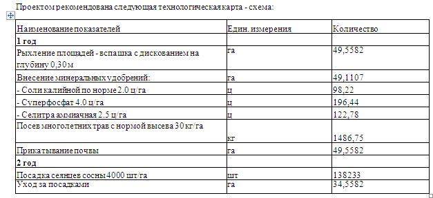  Соответствуют ли масштабы вырубок по Байкальскому тракту нормативам строительства дороги? Совместный рейд ОНФ, Росприроднадзор, Стройнадзор - фото 9