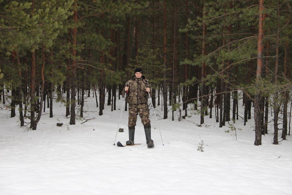 Завершились зимние маршрутные учеты в Керженском заповеднике - фото 2
