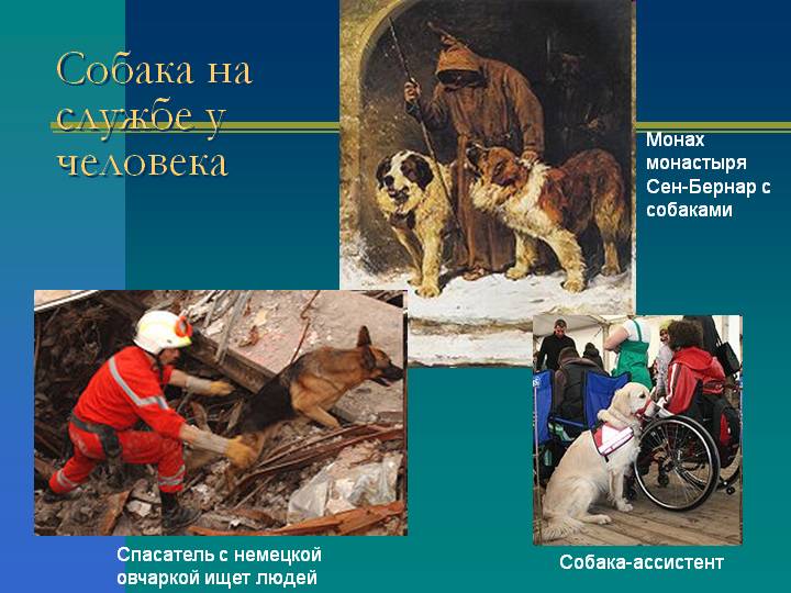 0009-009-Sobaka-na-sluzhbe-u-cheloveka