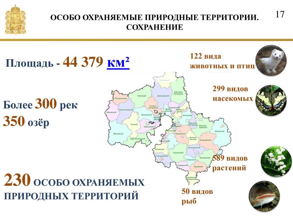  В понедельник  прошла пресс-конференция Александра Борисовича Когана - фото 16