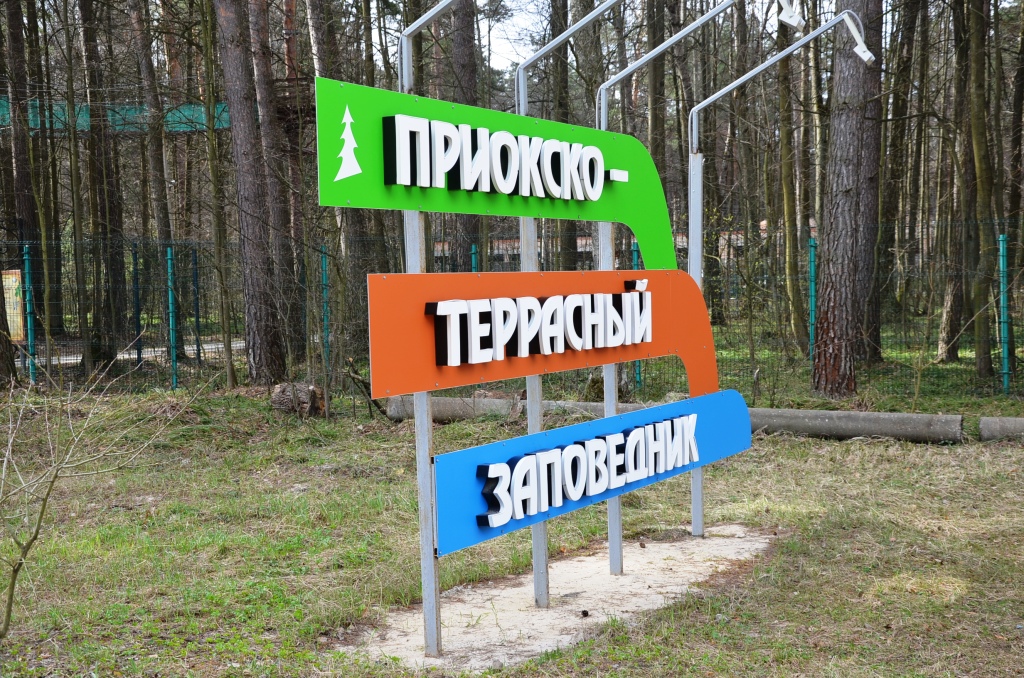  Минэкологии напоминает: срывая первоцветы, можно получить штраф - фото 3