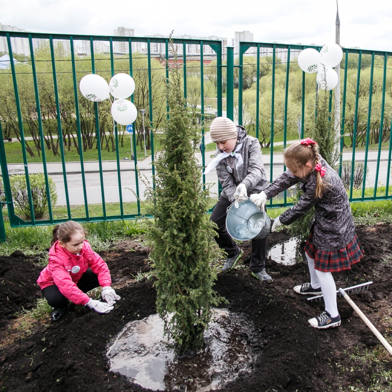 Акция "Лес Победы" стартовала на территории одной из московских школ - фото 16