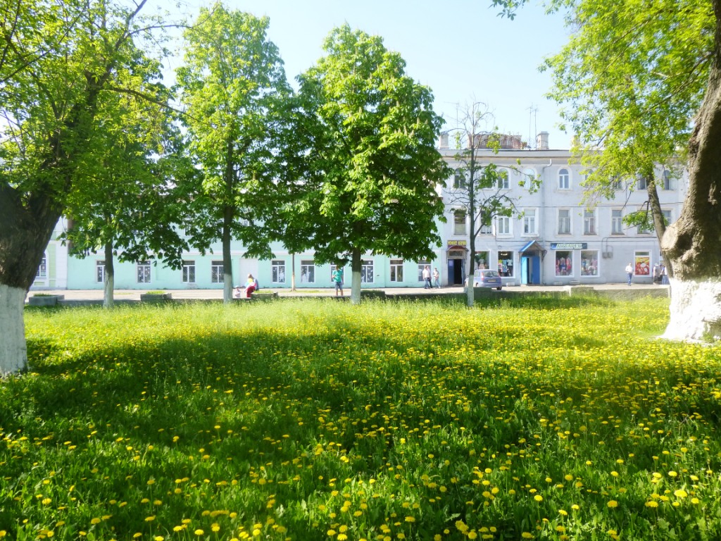  День Победы и "Бессмертный полк" в Моршанске - фото 24