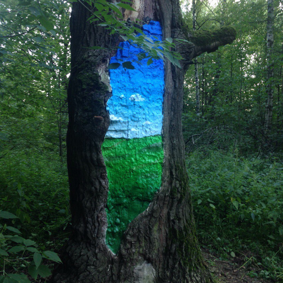  Дуб в Терлецком лесопарке превратится в арт-объект - фото 1