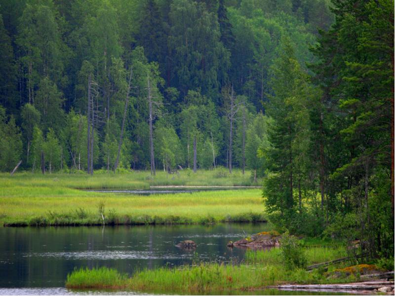  Ученые: Сибирь спасет Землю от глобального потепления - фото 2