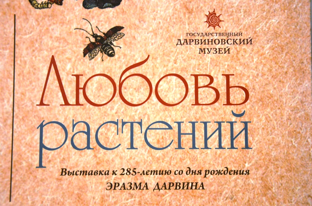  Любовь растений не иссякнет никогда  - фото 13