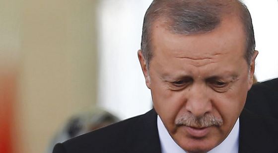 Erdogan mw1024 s n