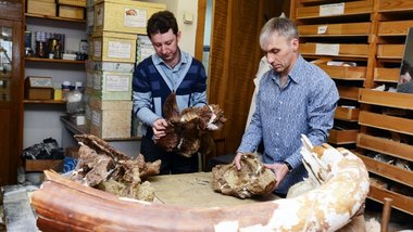  Российские ученые открыли новый вид динозавров из Западной Сибири - фото 1
