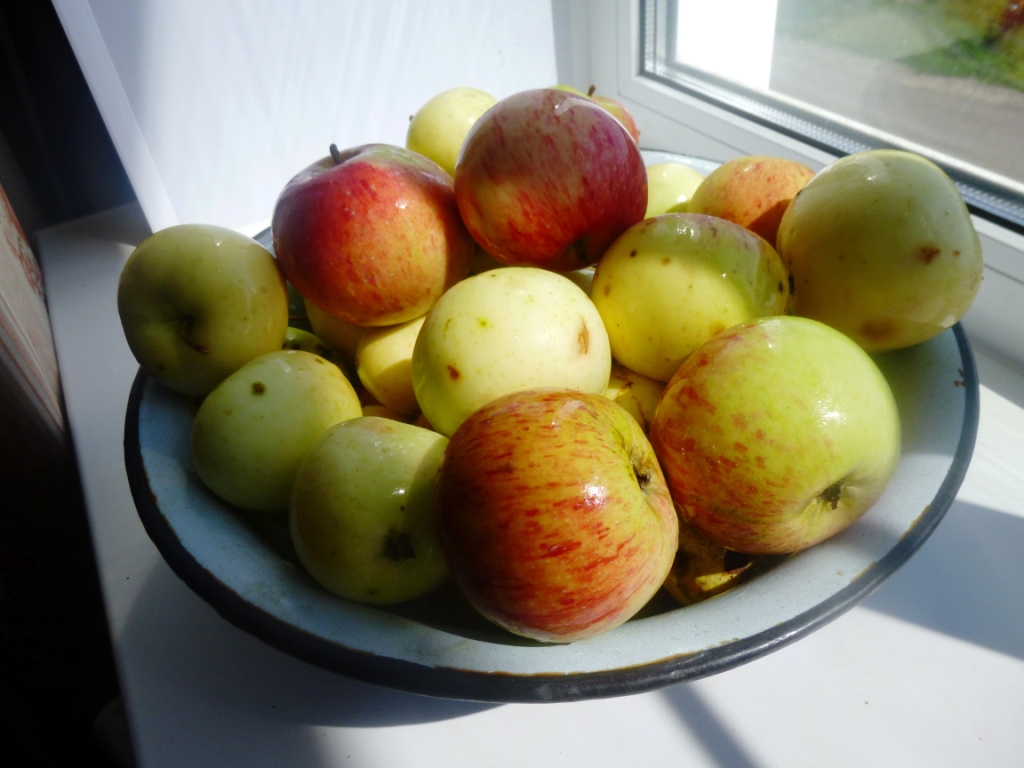  Варенье из яблок с апельсином - фото 2
