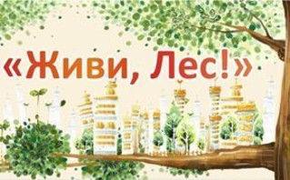002bfb6bc798470dc55c03cb8aecd21f