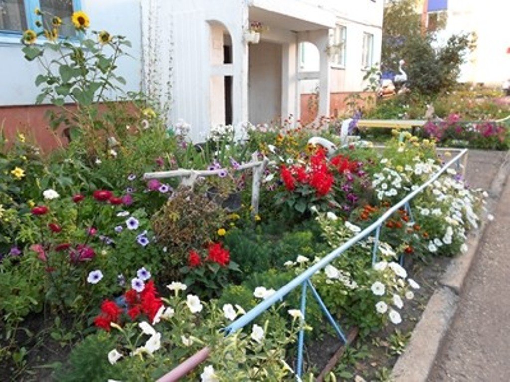 Клумбы и цветники около дома - фото 5