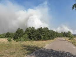 Уровень радиации в Чернобыле превысил допустимые нормы в 2,5 раза - фото 1