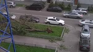 Ураган в Москве (фото, видео) - фото 8