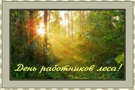 6330fd002cf2d1253ae70c7ac1e05ee6