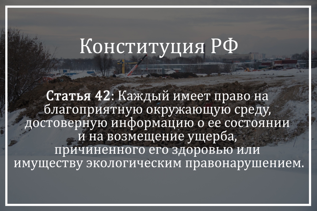  30 сентября состоится презентация итогов работы направления #ЭкоПраво общественного экологического проекта #РосЭко - фото 2