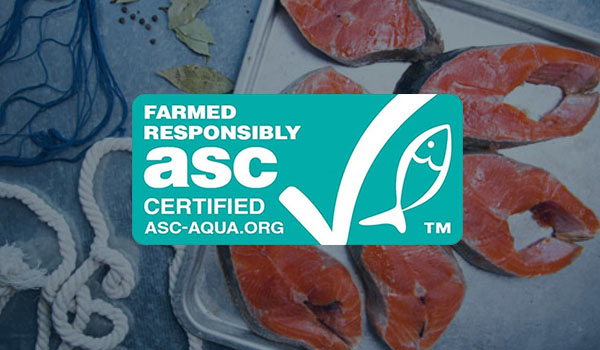   Семга и SEAFOODSHOP? Неожиданно - фото 2