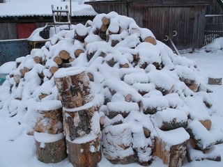  Об обеспечении населения Смоленского региона дровами - фото 1