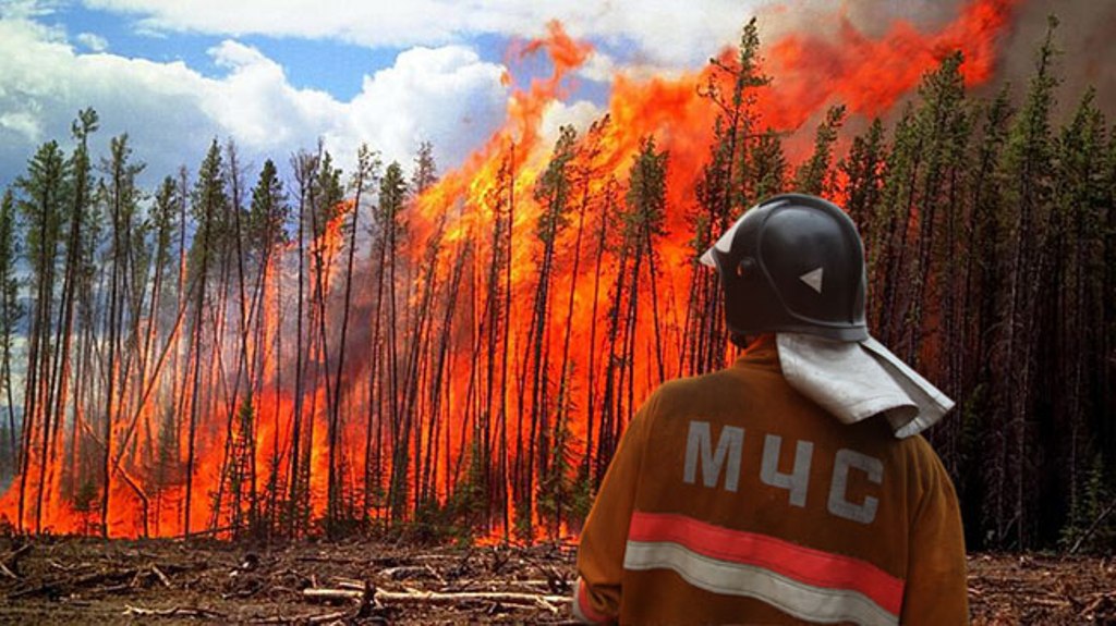 Лесные пожары меры защиты. Лесные пожары на Байкале. Лесной пожар фото. Охрана лесов от пожаров. Человек в Лесном пожаре.