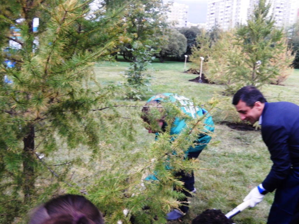  Двадцать лиственниц в Парке имени 850-летия Москвы: экологический подарок городу от МНПЗ - фото 17