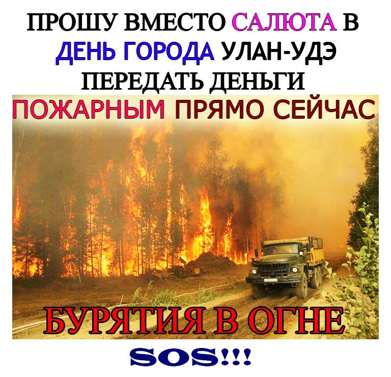  Траву сжечь! - фото 3