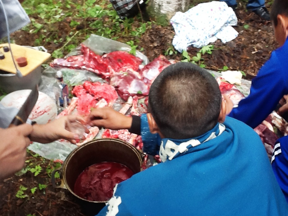  Гонки на оленях в одном из крупнейших оленеводческих хозяйств Ненецкого автономного округа «Путь Ильича - фото 10