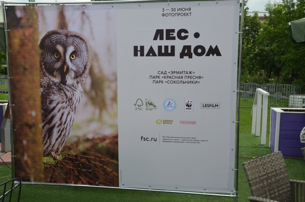 «Лес — наш дом»: Фотопроект об ответственном отношении к лесам.  При поддержке Правительства Москвы - фото 3