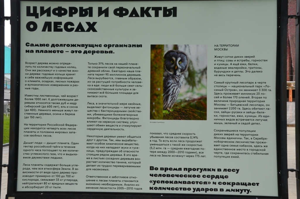 «Лес — наш дом»: Фотопроект об ответственном отношении к лесам.  При поддержке Правительства Москвы - фото 10