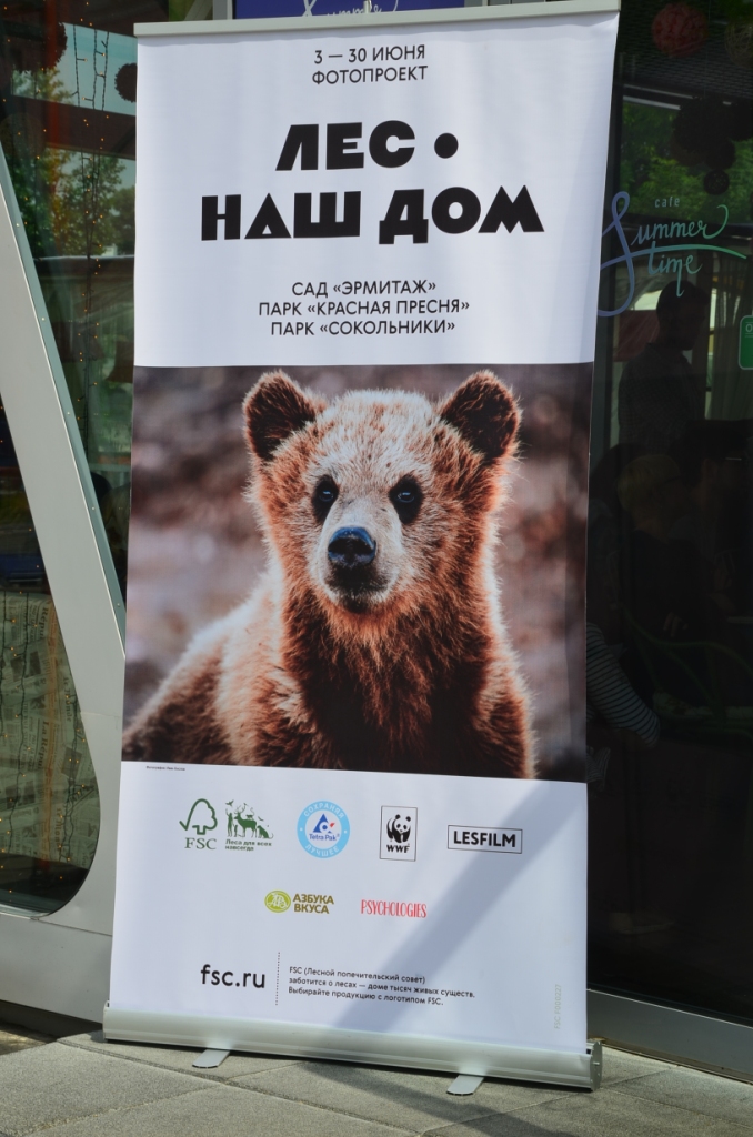 «Лес — наш дом»: Фотопроект об ответственном отношении к лесам.  При поддержке Правительства Москвы - фото 15