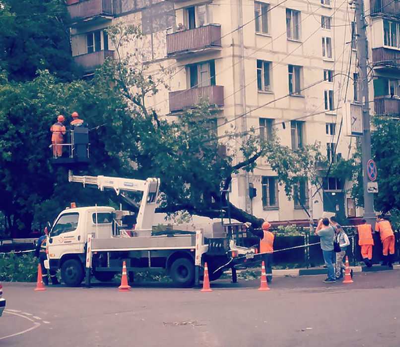  Подробности урагана в Подмосковье: падали дома и деревья, погибли двое - фото 6
