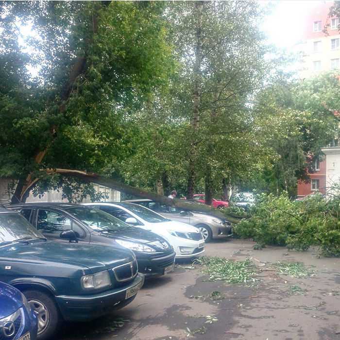  Подробности урагана в Подмосковье: падали дома и деревья, погибли двое - фото 7