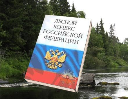 1254898477 lesnoy kodeks karelia20copy