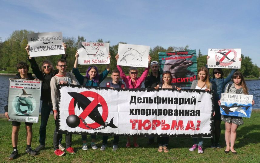  Сегодня отмечается Всемирный день китов и дельфинов  - фото 10